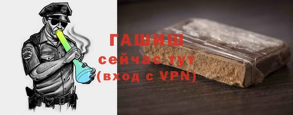 индика Бронницы