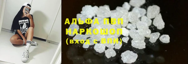 индика Бронницы