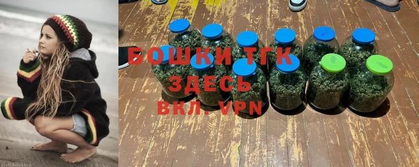 стафф Россошь
