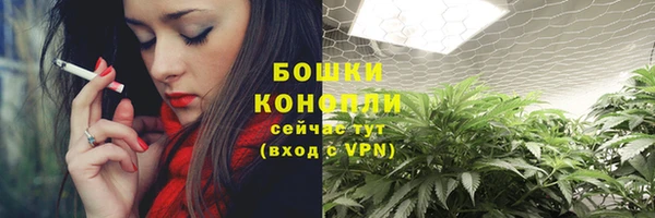mdma Бородино