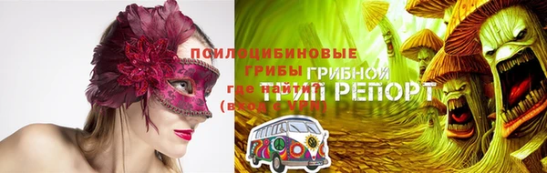 индика Бронницы