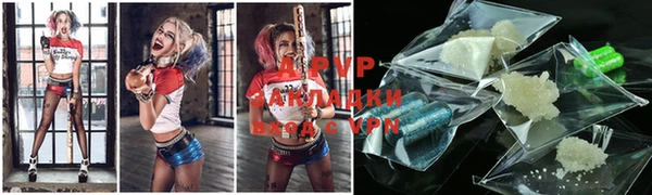 индика Бронницы