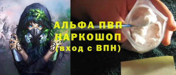 индика Бронницы
