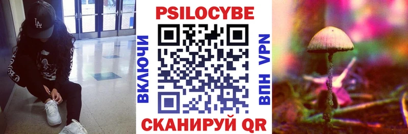 купить наркотики цена  мега рабочий сайт  Галлюциногенные грибы прущие грибы  Бийск 