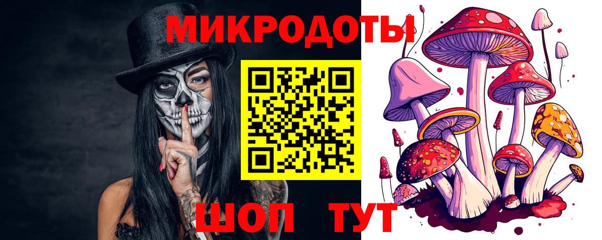Галлюциногенные грибы Psilocybe  купить наркотик  Бийск  Вход с VPN 