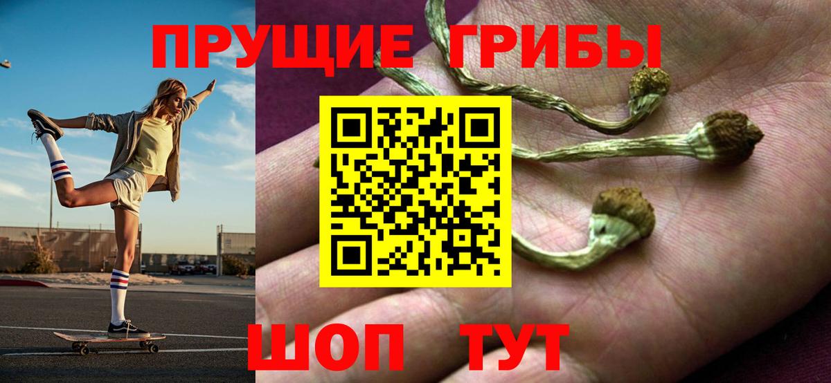 Галлюциногенные грибы GOLDEN TEACHER Бийск